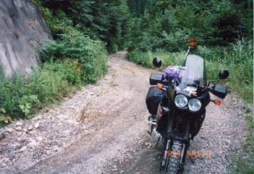三河小田山林道の溝